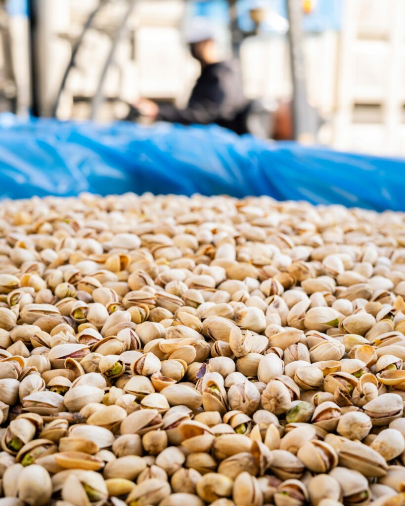A container filled with fresh pistachios at our processing plant in Central California.